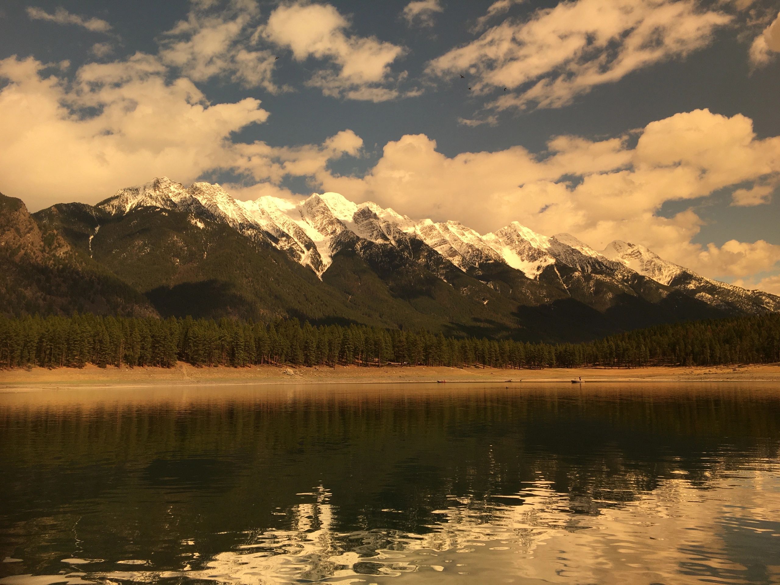 East Kootenay Orthopedics