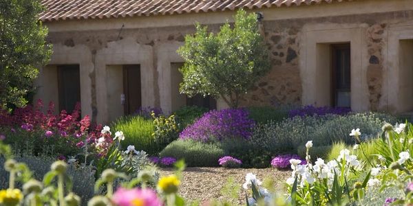 Classic Mediterranean court yard landscape / perenial garden. 