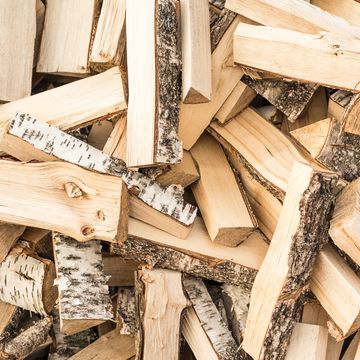 Premium White Birch Firewood