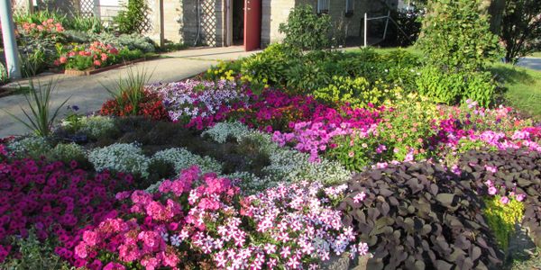 The Gardeners of Lima - Garden Club