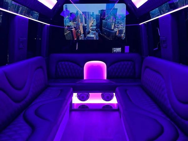 Party bus chicago. Chicago party bus. party bus rental. sprinter. luxury sprinter interior