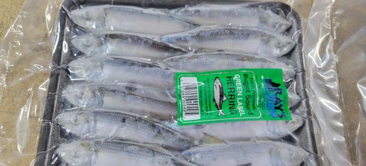 CAESARS CREEK BAIT STORES visual data 8