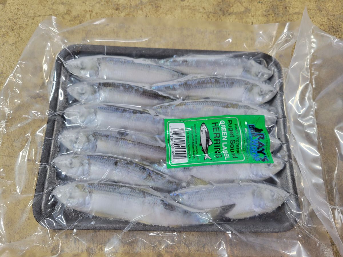 1 Case of Green Label Herring (36 Trays)