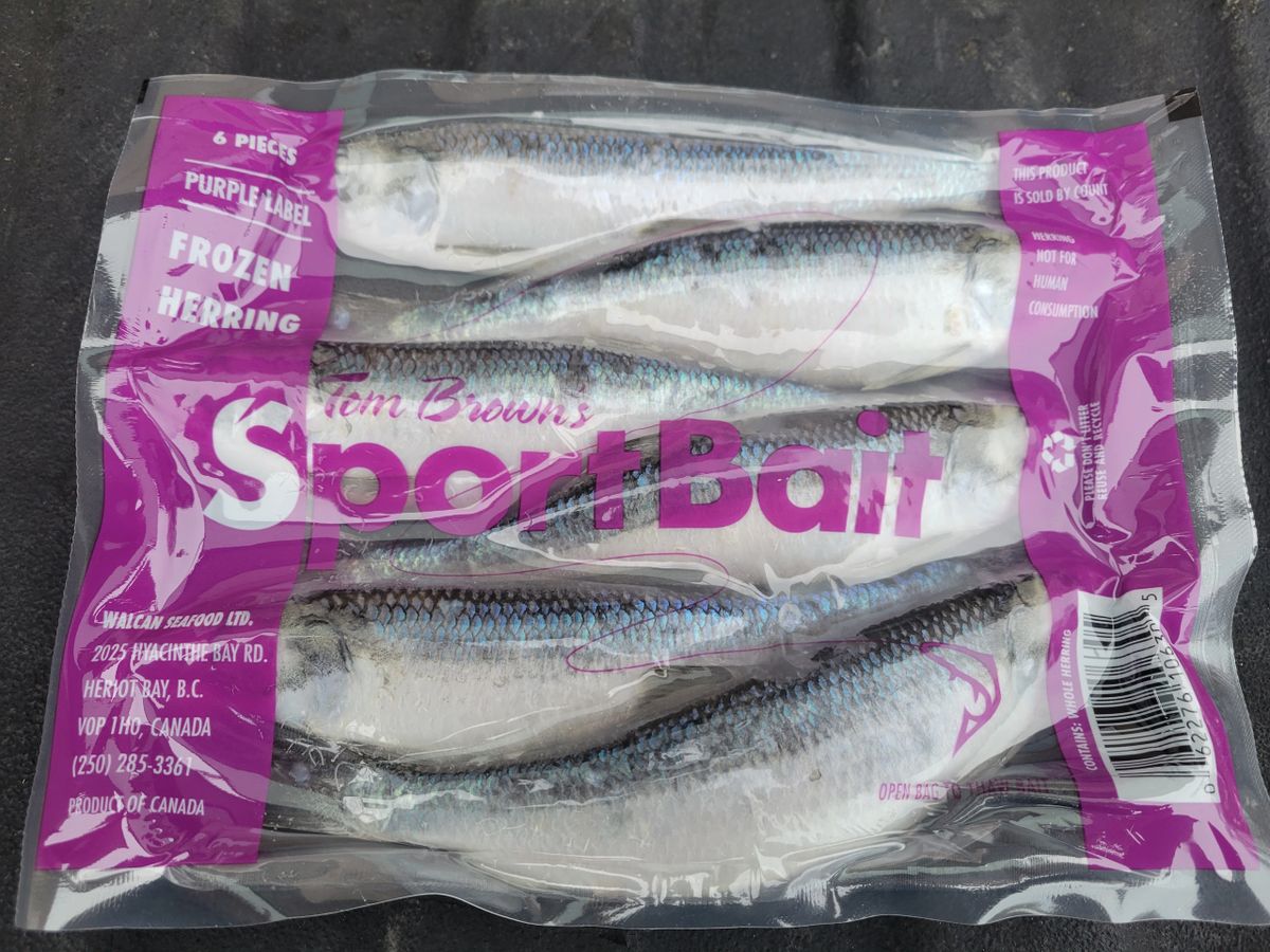 Case of Purple Label Herring (26 Trays)