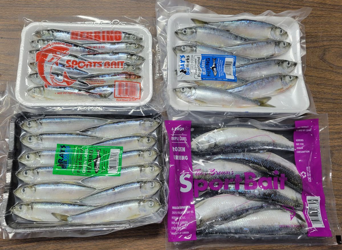 Frozen Herring (Small Mixed Box 4 Trays)