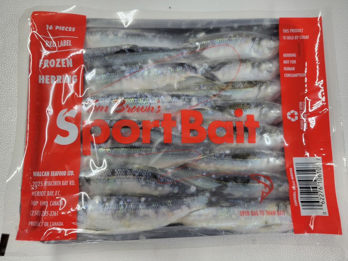 Case of Red Label Herring (40 Trays)