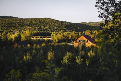A rustic cabin surrounded by lush greenery and hills in soft sunlight.