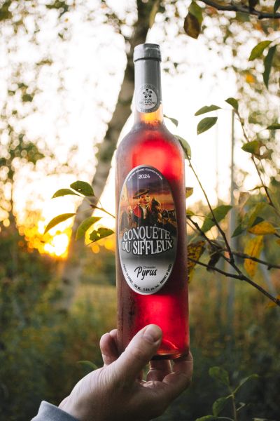 A hand holds a bottle of red wine labeled 'Conquête du Siffleux' against a sunset backdrop.