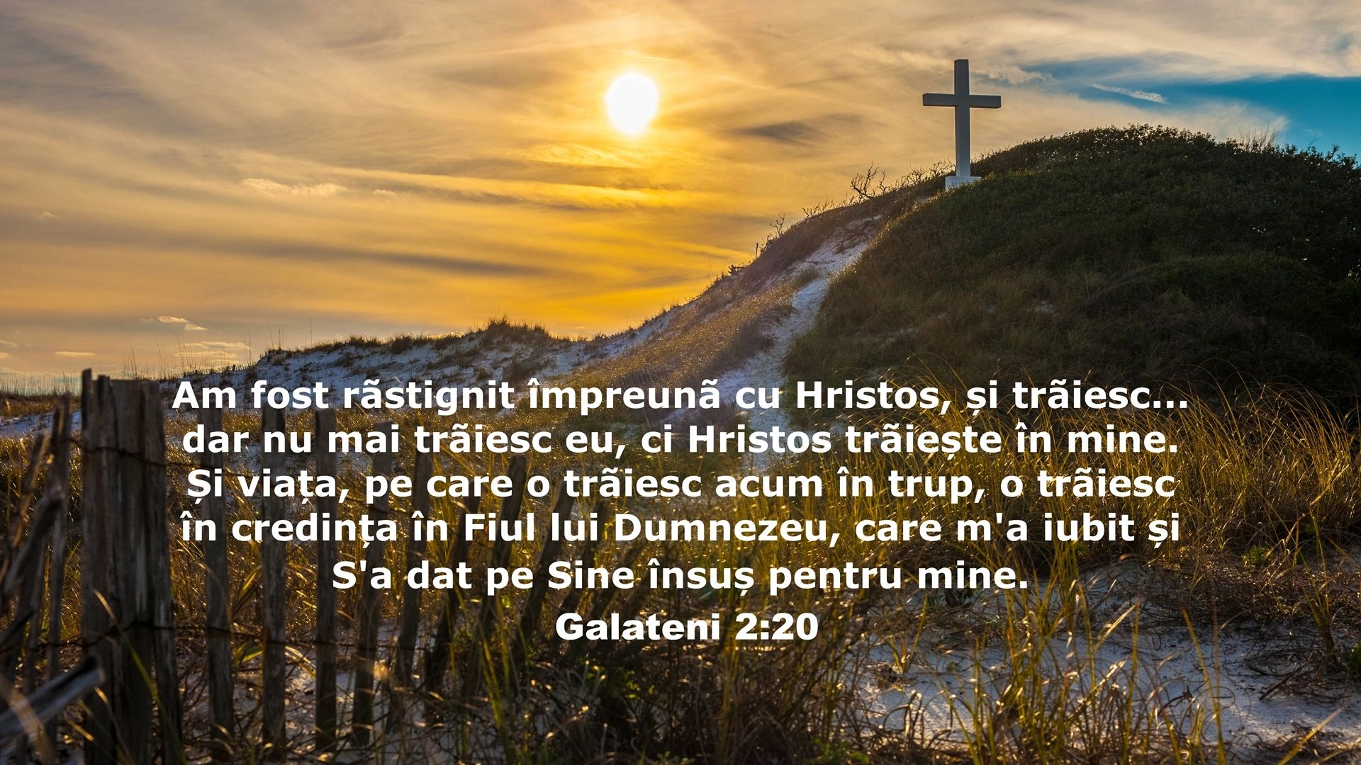 Iată Omul: Isus, Unic și de Neegalat