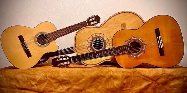 Trio Mariachi capri instruments