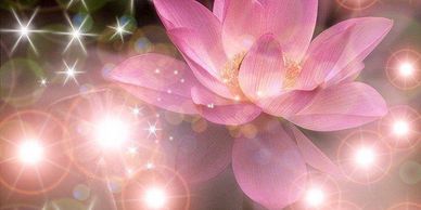 Cynthia offers 30 minute or 1 hour spiritual reading assisting you through your journey with the hel