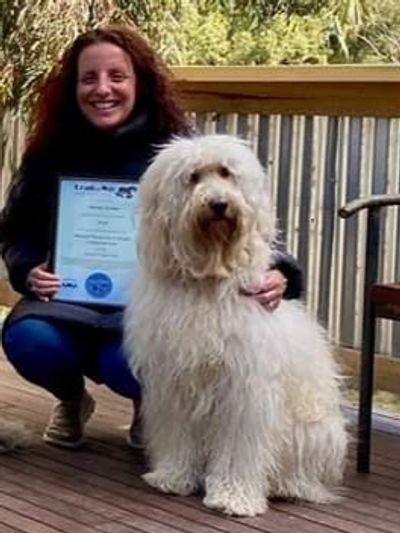 Ren Solomon and Woof the Therapy Dog of Ren Solomon Counselling