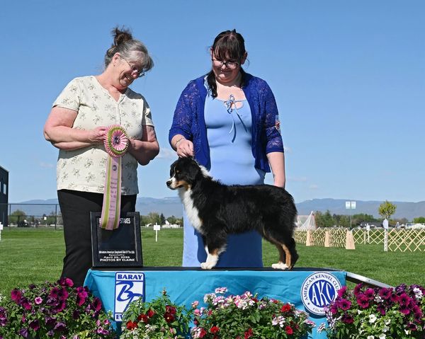 Two women with a dog winning a dog show award outdoors.