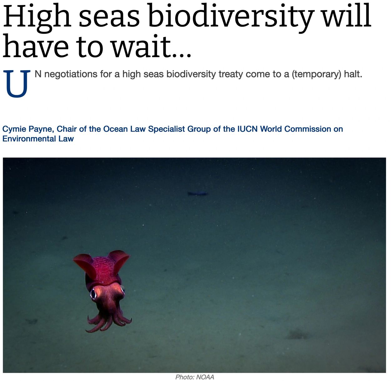Article titled High seas biodiversity will have to wait dated August 2022