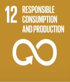 Responsible Consumption & Production