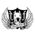 Flying fur dog training
