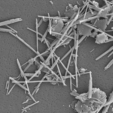 Microscopic image of needle-like crystalline structures scattered on a surface.