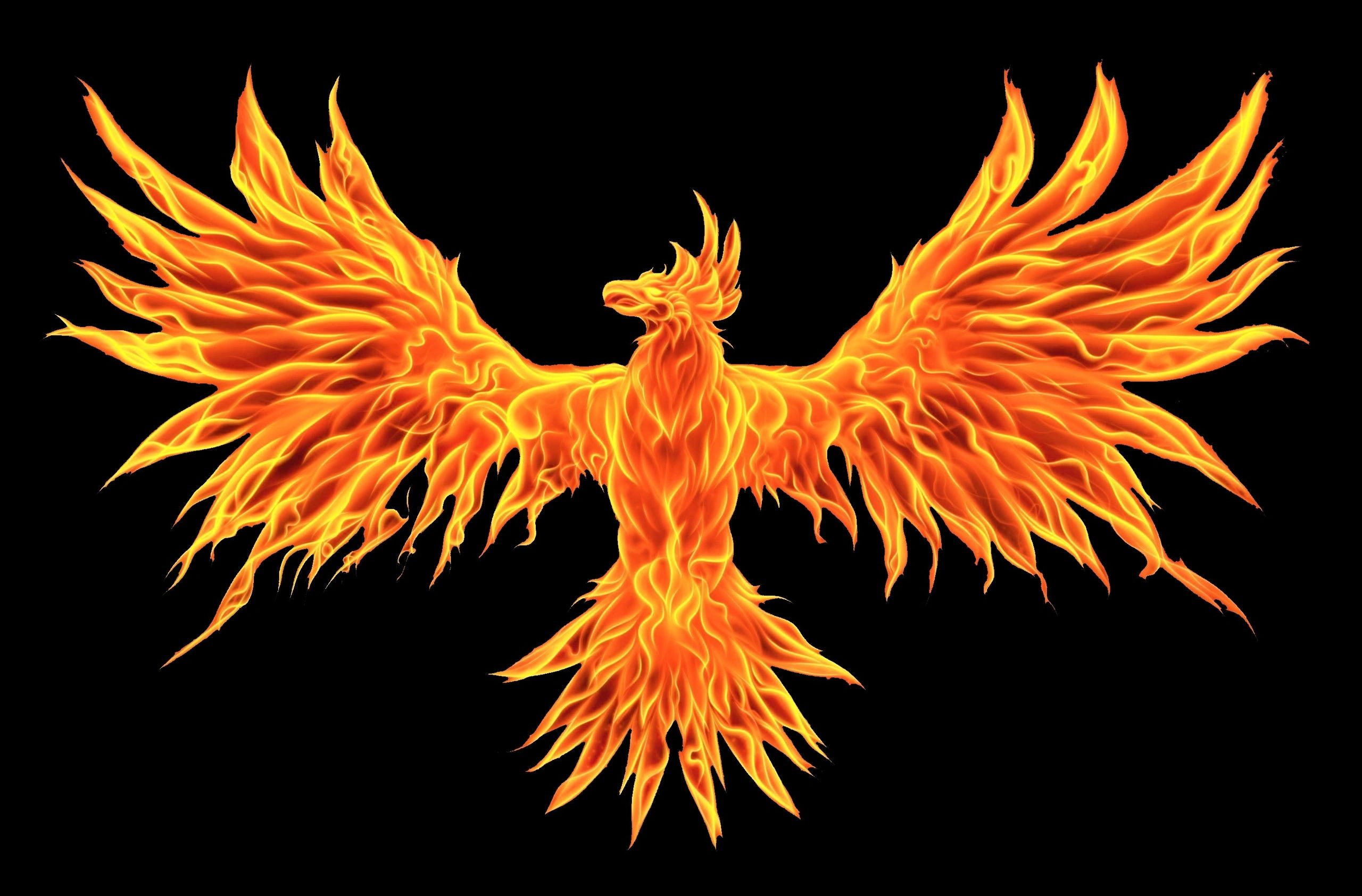 Show Highlights phoenix fireworks ltd