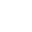 MVEA Company