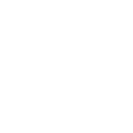 MVEA Company