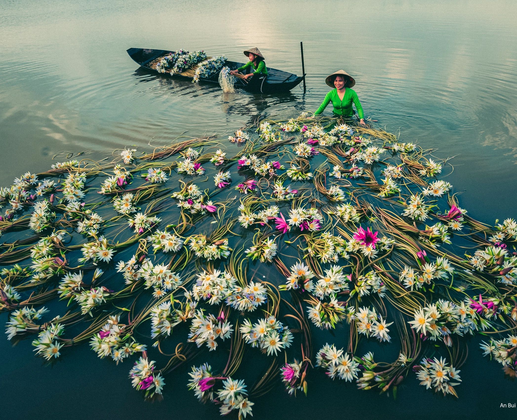 Gens dans l’eau avec des fleurs de nénuphar