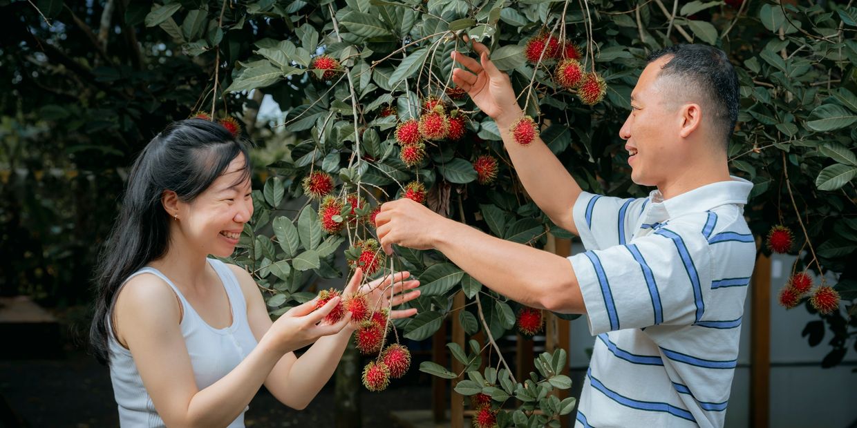 Lang Truong Tho Farmstay