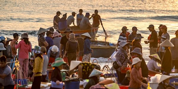 Travel Authentic in Vietnam at the fish market
