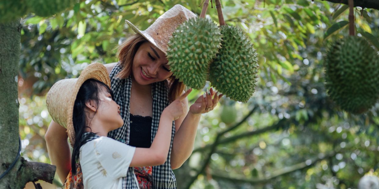 Lang Truong Tho Farmstay