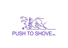 Push To Shove 