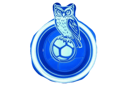 Elite 1:1 Coaching
For All Ages & Levels