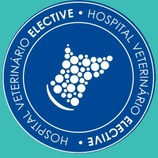 Hospital Veterinário 
Renalvet Elective 
Maringá