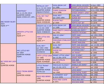 A colorful chart listing Quarter Horse bloodlines and their lineage details.