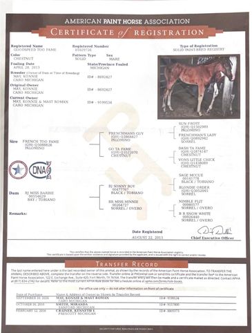 Certificate of Registration for a horse named Colorspun Too Fame.