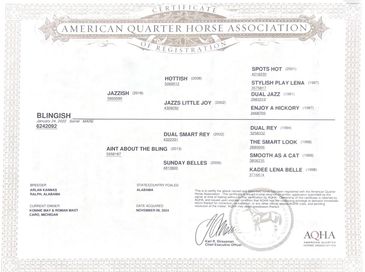 American Quarter Horse Association registration certificate showing horse lineage.