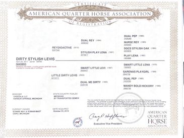 American Quarter Horse Association registration certificate for Dirty Stylish Levis.