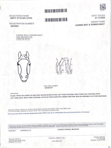 Official dog registration document with markings and measurements.