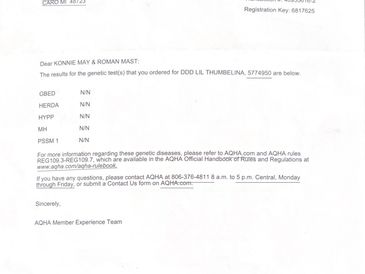 Genetic test results letter for DDD LIL THUMBELINA, showing no detected genetic diseases.