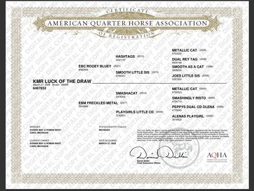 Certificate of registration for KMR Luck of the Draw by the American Quarter Horse Association.