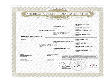 Certificate of registration from the American Quarter Horse Association for horse KHM Girlsplayjackpot.
