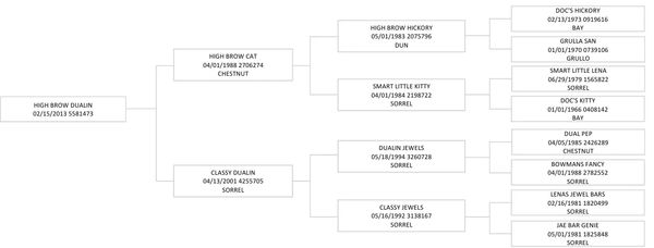 A detailed horse pedigree chart showing lineage and color information.