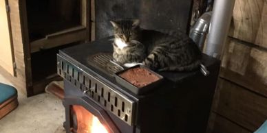 A tabby cat resting on a wood stove with a food dish beside it.