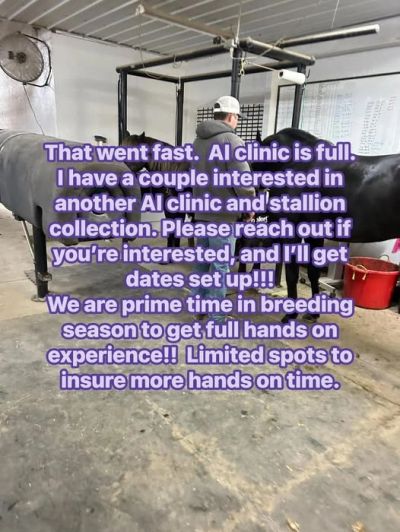 Man working with horses in a breeding clinic, offering limited spots for AI clinic and stallion collection.