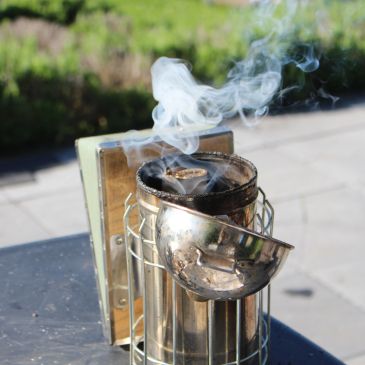 Un enfumoir à abeilles dégageant de la fumée.