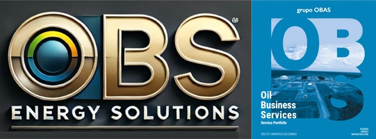 Overseas Ventures Capital Group