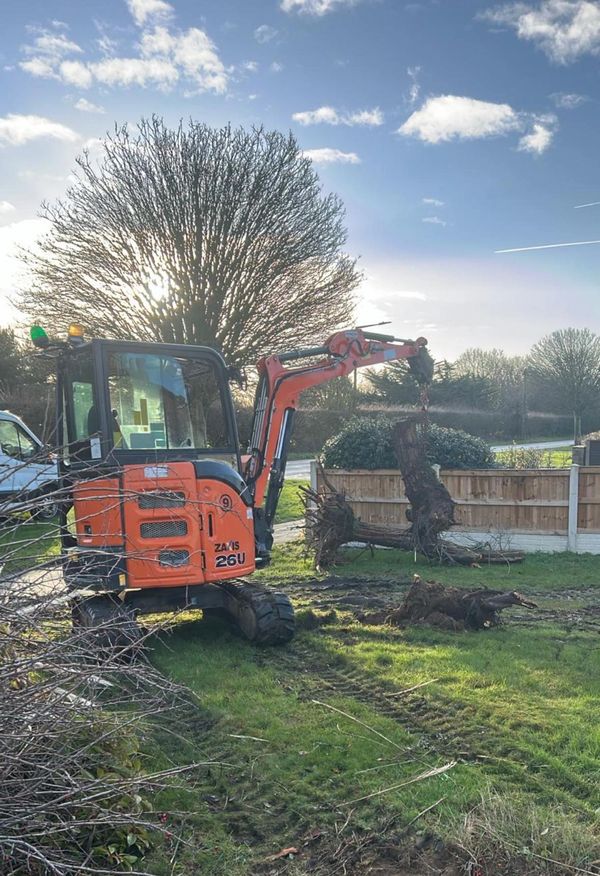 Mini Digger Tree Stump Removal