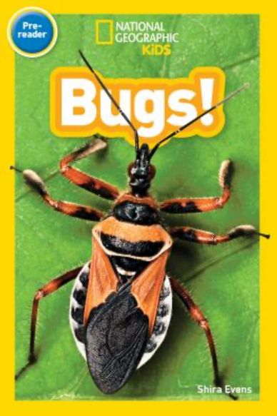 Bugs, National Geographic Kids