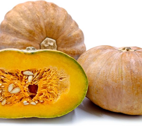 Calabaza Squash