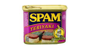 Spam Teriyaki Flavor