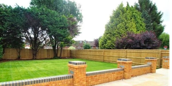 Dog Home Boarding Dog Boarder Cosy Paws Hemel Hempstead