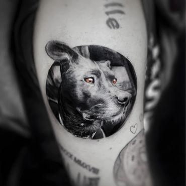 Hyper Realistic Dog Portrait Tattoo done by Ven in Syracuse New York 